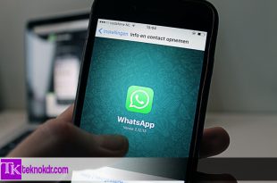 Aplikasi Social Spy WhatsApp