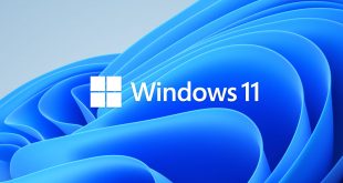 Windows 11 Logo Depan