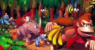 Donkey Kong Country For SNES