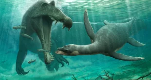 Spinosaurus dan Plesiosaur di Sungai