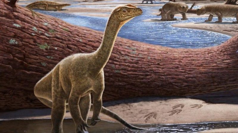 Dinosaurus Tertua Ditemukan di Afrika