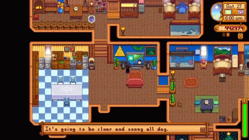 Stardew Valley Mistake - Not Checking Television
