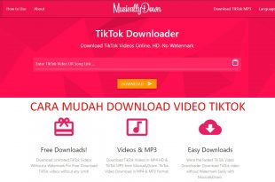 musicallydown cara mudah download tiktok video
