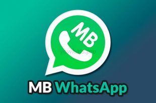 aplikasi mbwhatsapp