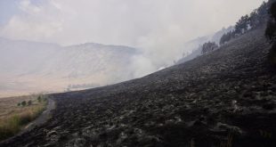 Kebakaran Gunung Bromo (CNN)